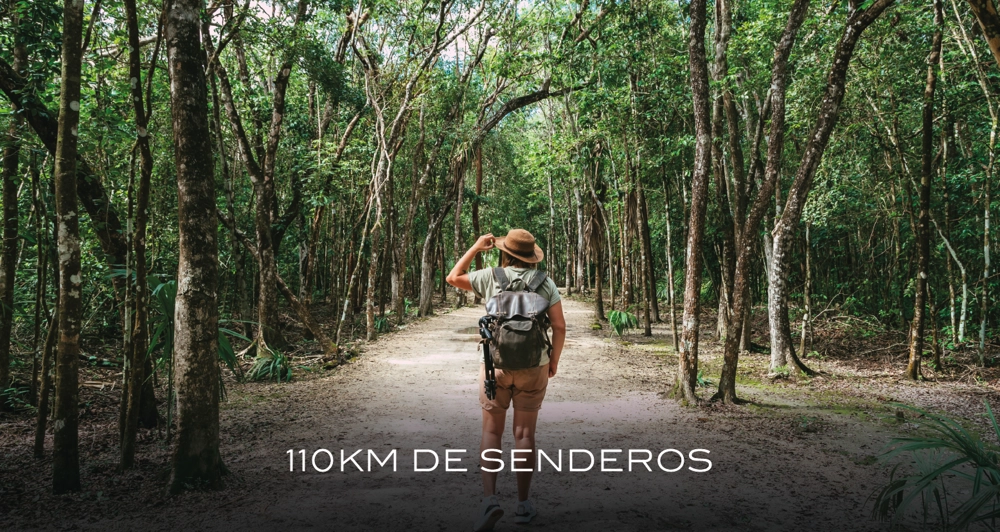 galeria16_Mesa de trabajo 1