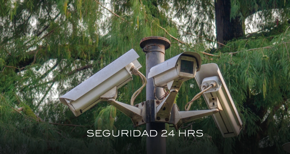 galeria21_Mesa de trabajo 1