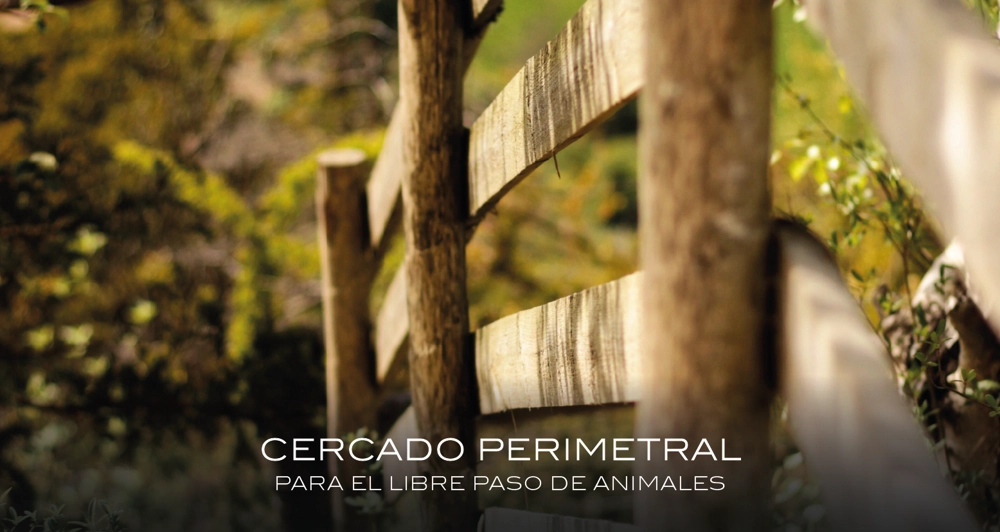 galeria23_Mesa de trabajo 1