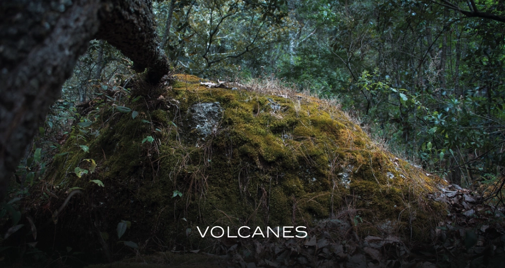 galeria29_Mesa de trabajo 1