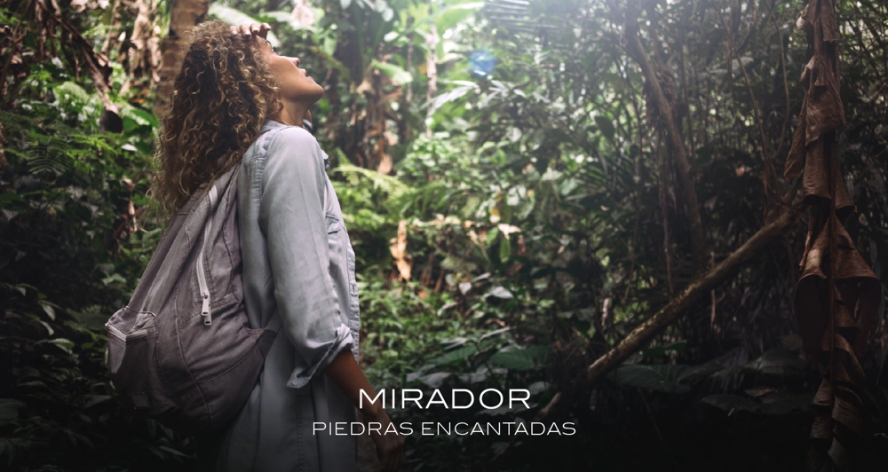 galeria32_Mesa de trabajo 1