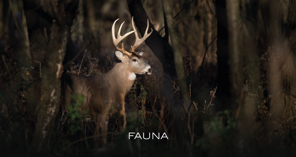 galeria5_Mesa de trabajo 1