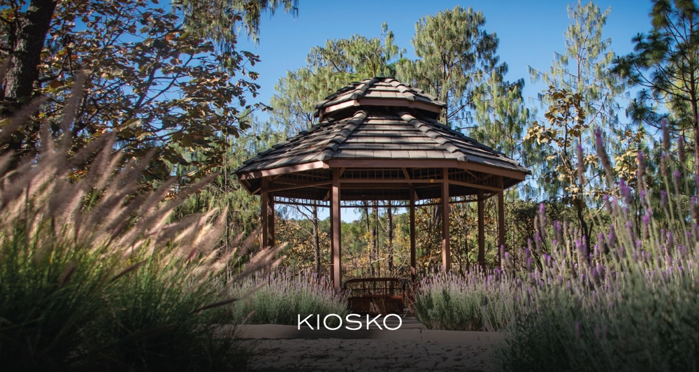 galeria9_Mesa de trabajo 1